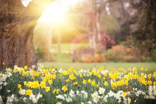 640.webp (1) 640.webp (1)