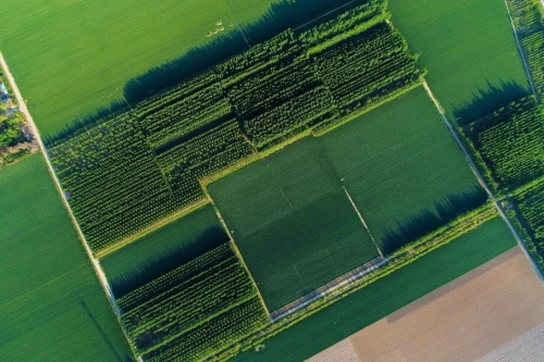 640.webp (4) 640.webp (4)