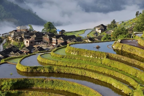 640.webp (5) 640.webp (5)