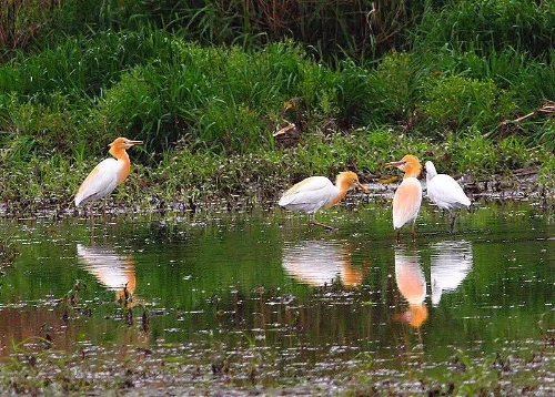 640.webp (6) 640.webp (6)