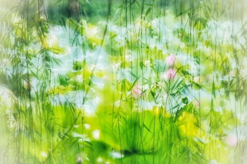 640.webp (11) 640.webp (11)