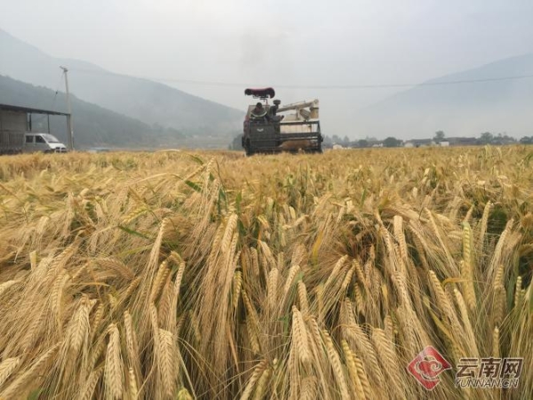 00300614276_24a90abc 00300614276_24a90abc