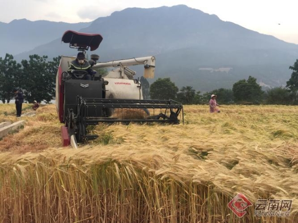 00300614278_c25711fe 00300614278_c25711fe