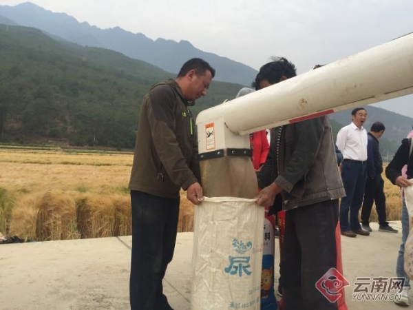 00300614277_cc9e5837 00300614277_cc9e5837