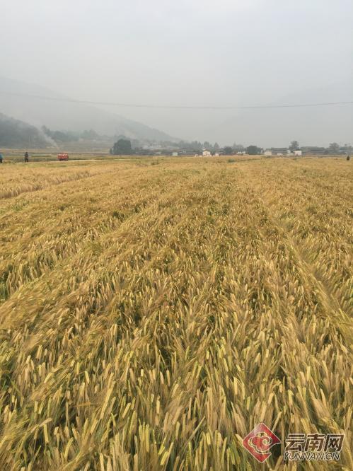 00300614279_0fa86a86 00300614279_0fa86a86