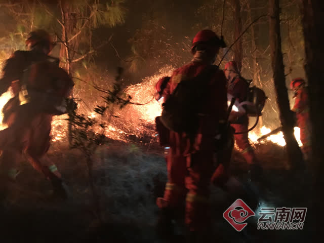 安宁森林火灾