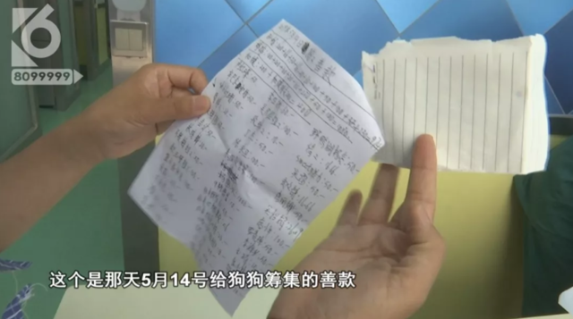 令人发指！宠物狗被砍3刀，还在伤口上撒辣椒面