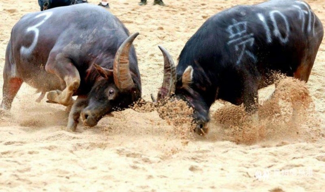 微信图片_20190523145130 微信图片_20190523145130