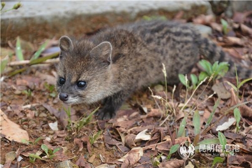 微信图片_20190523162710 微信图片_20190523162710