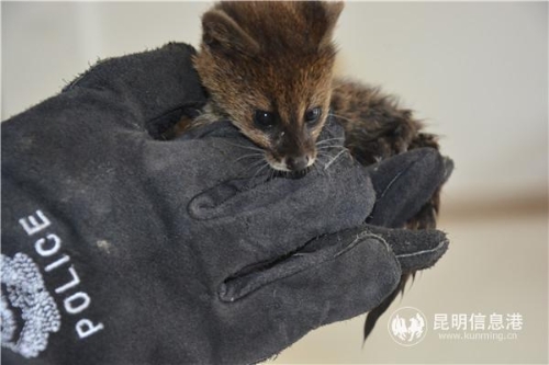 微信图片_20190523162704 微信图片_20190523162704