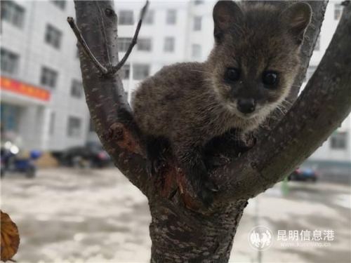 微信图片_20190523163252 微信图片_20190523163252