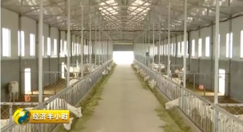 640.webp (17) 640.webp (17)