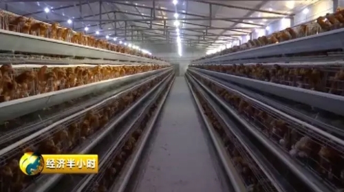 640.webp (19) 640.webp (19)