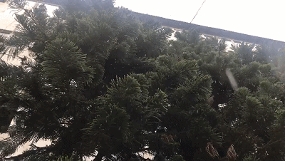 昨天,文山全州出现大雨暴雨天气↓↓.gif