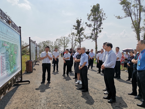 与会领导调研紫陶特色小镇龙窑生态城片区规划.jpg