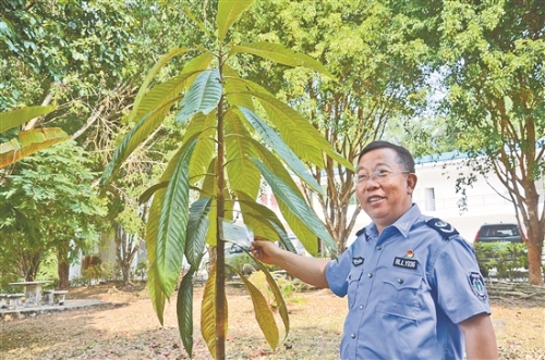 2019053009_res07_attpic_brief 2019053009_res07_attpic_brief