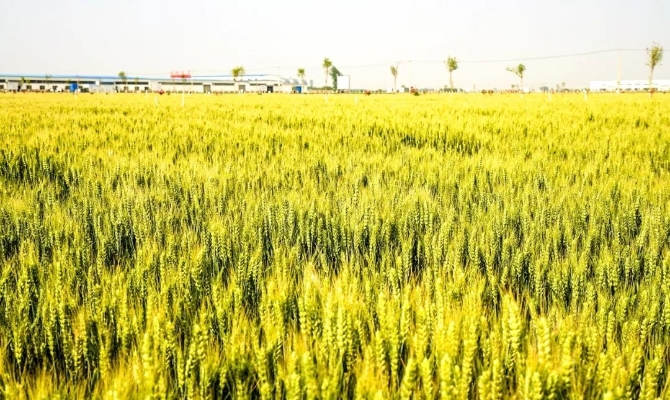 640.webp (59).jpg 640.webp (59).jpg