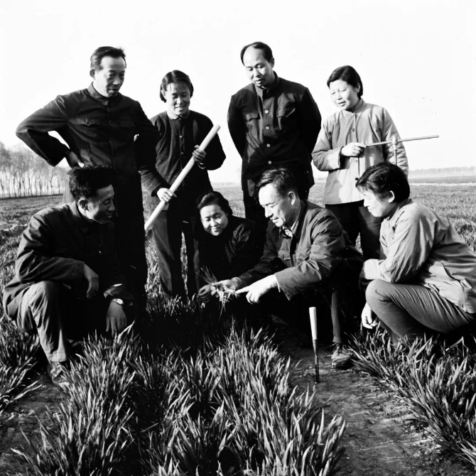 640.webp (49).jpg 640.webp (49).jpg