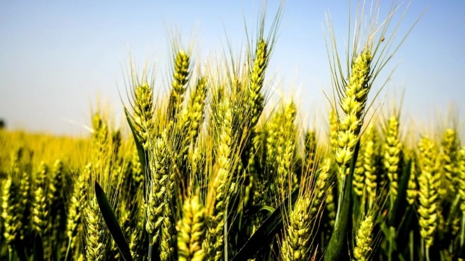 640.webp (47).jpg 640.webp (47).jpg