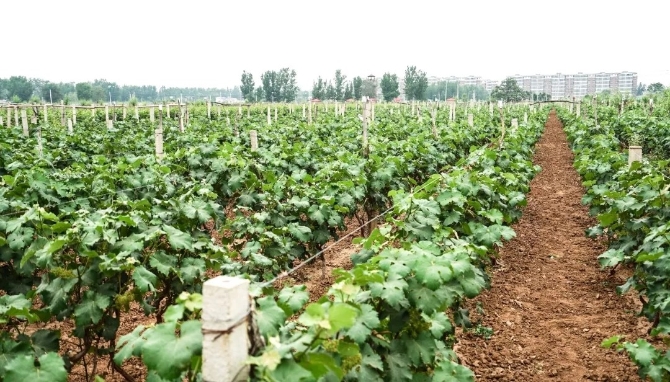 640.webp (57).jpg 640.webp (57).jpg