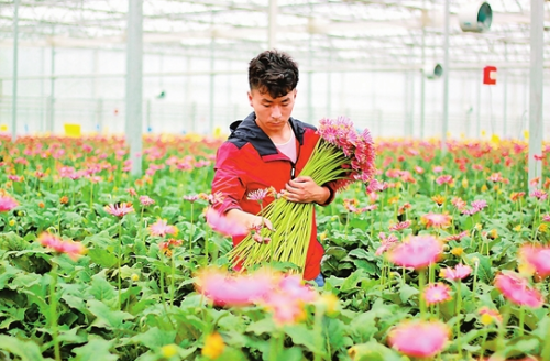 微信截图_20190603073940 微信截图_20190603073940