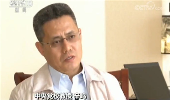 中央党校教授辛鸣