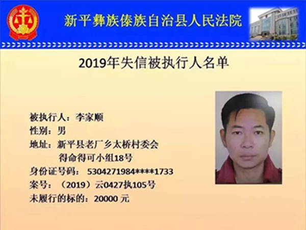 新平李家顺2 新平李家顺2