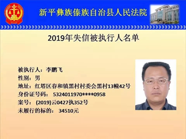 新平李鹏飞5 新平李鹏飞5