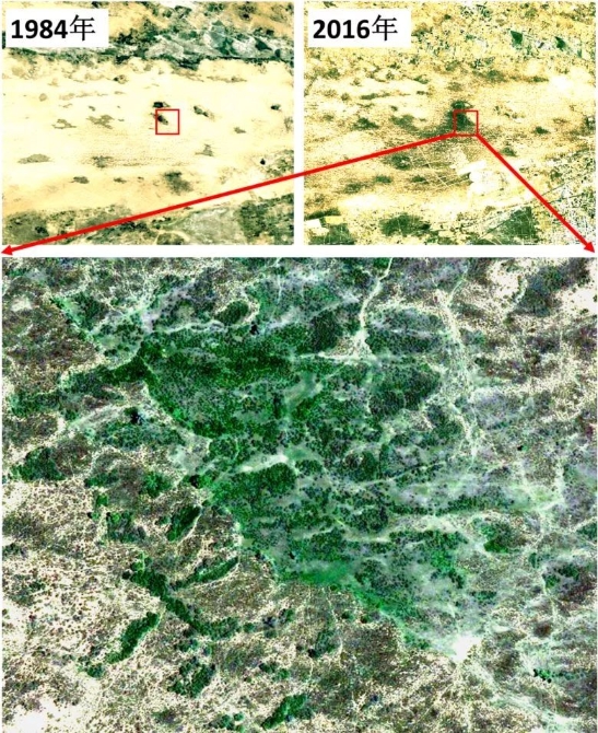 围观 | 中国是怎样拯救地球的？卫星遥感影像告诉你！
