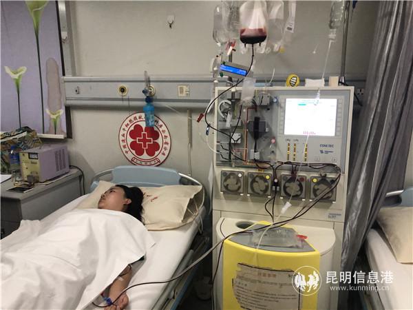 朱金凤成功捐出造血干细胞245ml 朱金凤成功捐出造血干细胞245ml