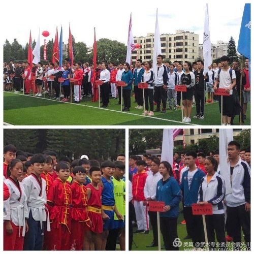 运动员代表队伍 运动员代表队伍