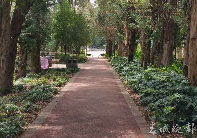 志愿者一行刚徒步到日新路