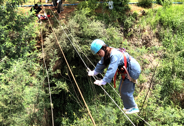 微信图片_20190627200557_副本 微信图片_20190627200557_副本