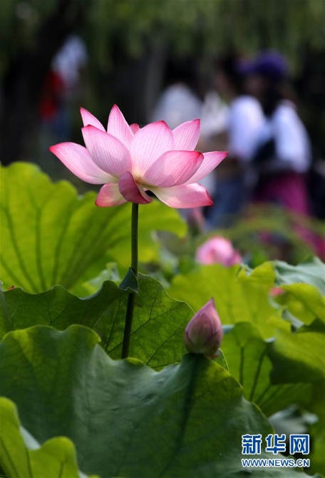 1124686057_15617243737901n