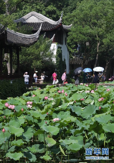 1124686057_15617243738391n