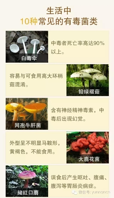 00300734547_065aecfd