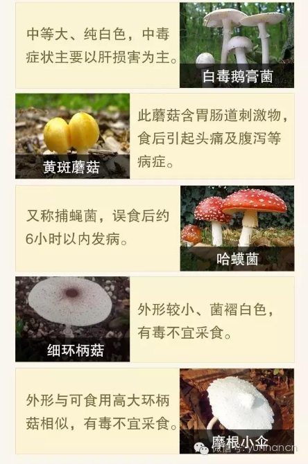 00300734548_e5bfaa07