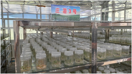 f44d307589141e891d631a