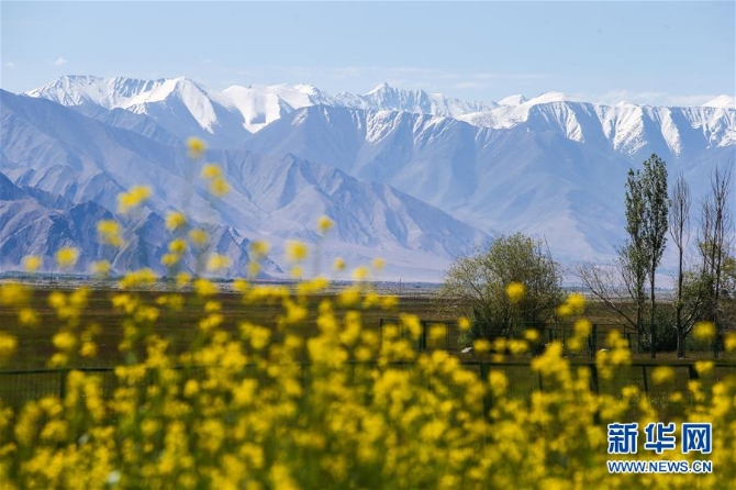 1124730817_15626696303731n