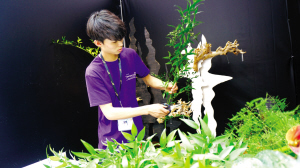 85041562868066225 85041562868066225