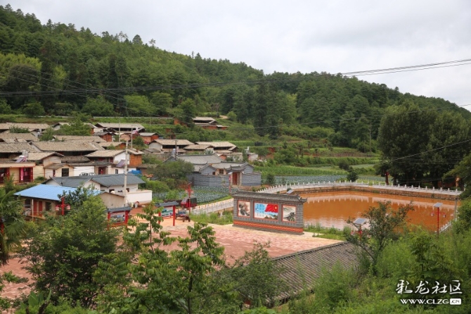 远眺核桃园村。网友“湖畔阳光”摄 远眺核桃园村。网友“湖畔阳光”摄