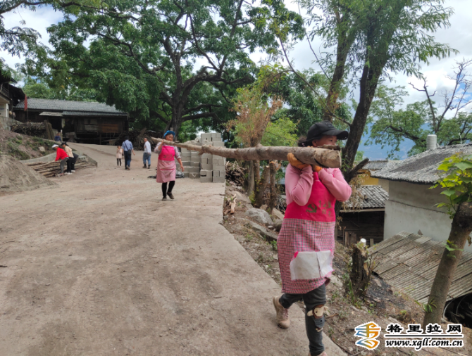 8da484e7-290d-473e-8455-b139e293b4a6_watermark