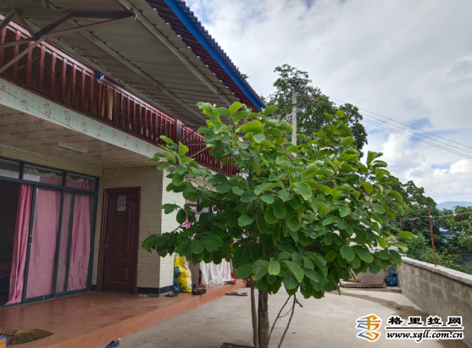 d4b4446b-b216-48ab-a34f-bdf347ca328b_watermark