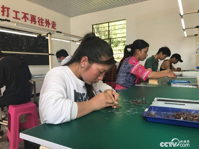 现在，越来越多的年轻人选择不再外出而是守在家门口打工。（记者 何川 摄）