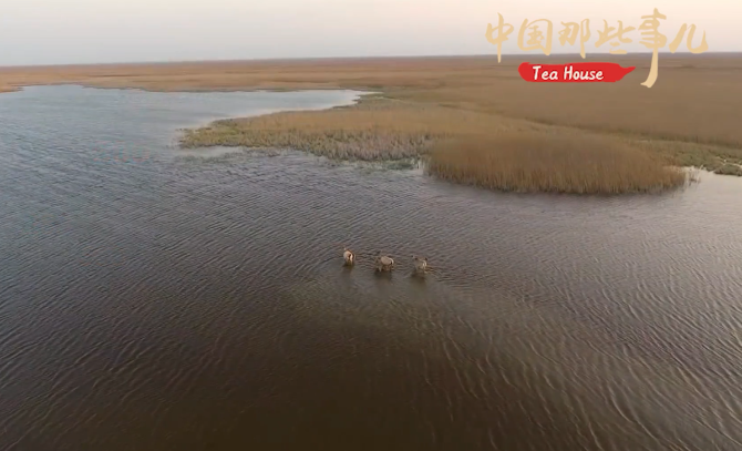 【中国那些事儿】 又获殊荣！世界遗产保护进入“中国时间”