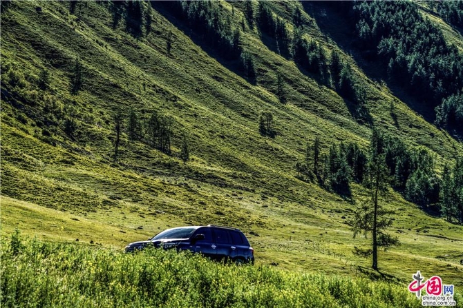 2e328a94-2a9c-477a-82e0-0d46c1469bab_watermark