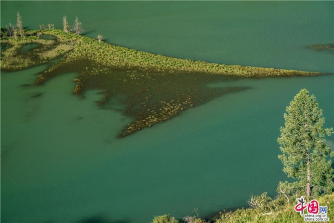 60f5a3c1-f756-4760-b1e8-7a67b5f39770_watermark