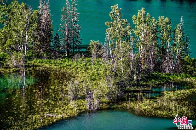 240f8b26-11e3-4972-9d00-d2d1a4f05f85_watermark