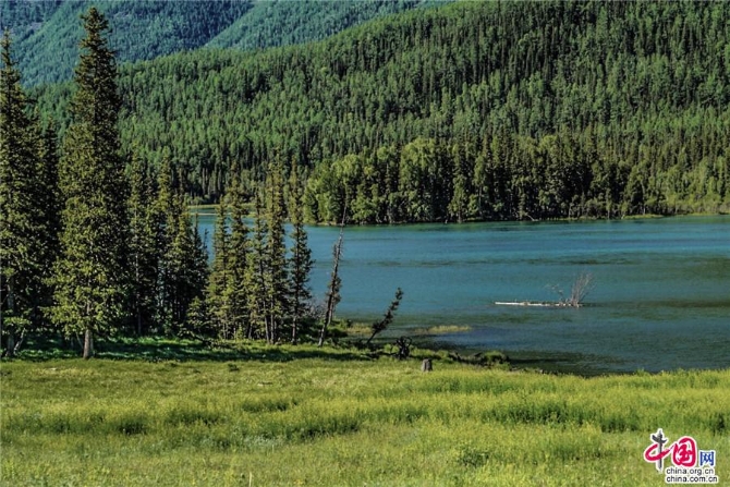 cb38e0bc-97e1-4aa6-a68e-c8c99426336c_watermark