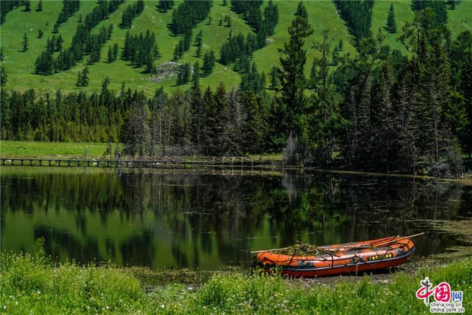 41c7e04e-886b-4ba7-89d6-21410d1cb65f_watermark